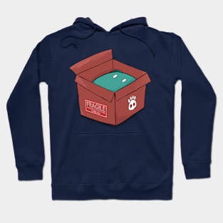 Cat in the Box Hoodie